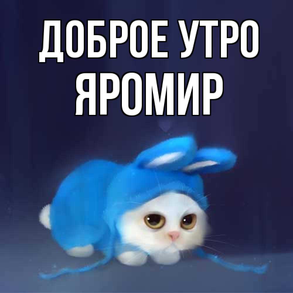 Открытка на каждый день с именем, Яромир Доброе утро открытки красивые скачать бесплатно Прикольная открытка с пожеланием онлайн скачать бесплатно 