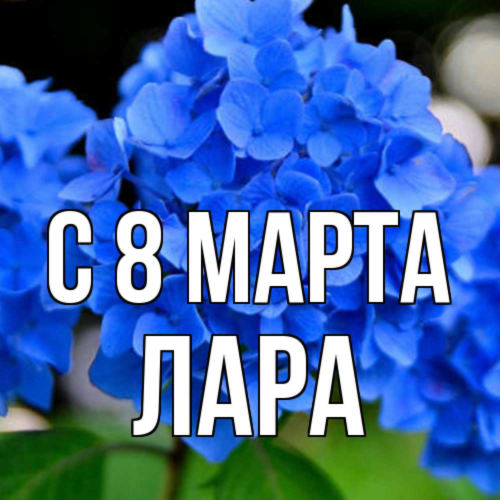 Открытка на каждый день с именем, Лара C 8 МАРТА синие цветы Прикольная открытка с пожеланием онлайн скачать бесплатно 