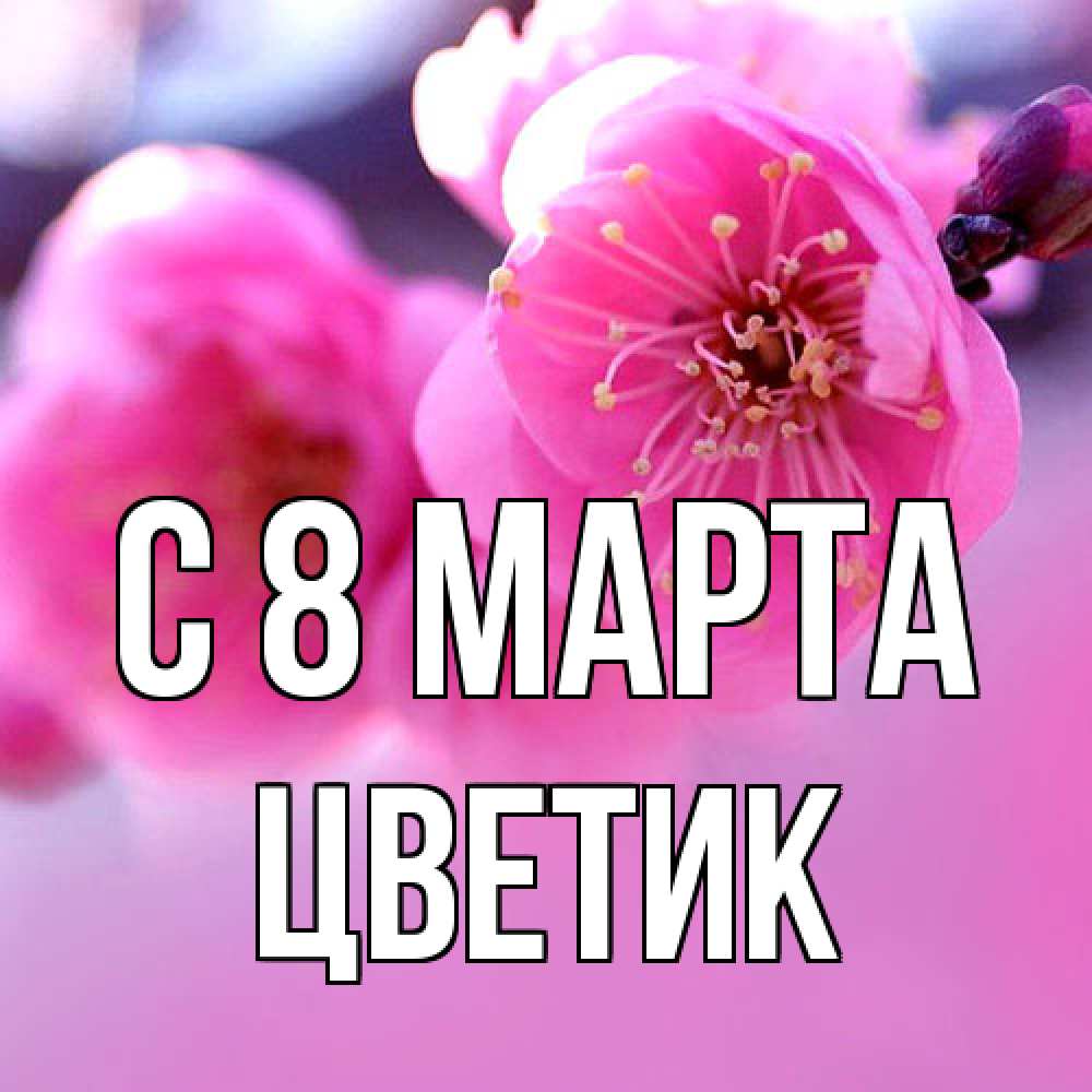 Открытка на каждый день с именем, цветик C 8 МАРТА международный женский день Прикольная открытка с пожеланием онлайн скачать бесплатно 