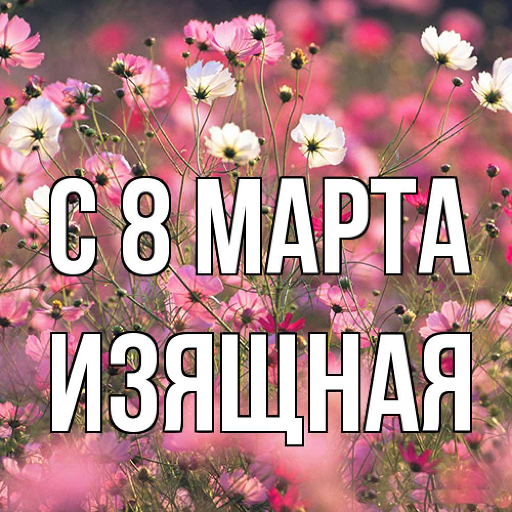 Открытка на каждый день с именем, Изящная C 8 МАРТА красиво 1 Прикольная открытка с пожеланием онлайн скачать бесплатно 
