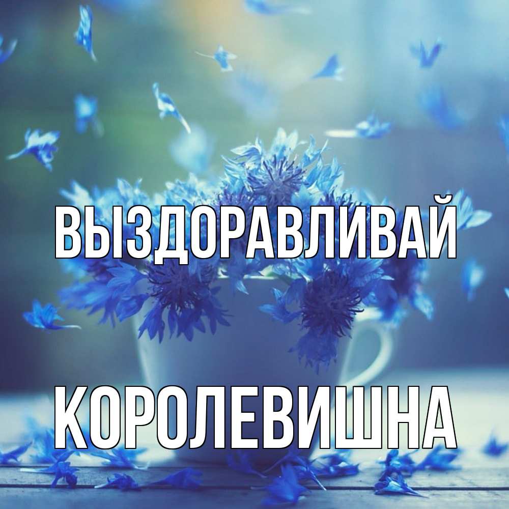 Открытка на каждый день с именем, Королевишна Выздоравливай кружка с зельем и цветами Прикольная открытка с пожеланием онлайн скачать бесплатно 