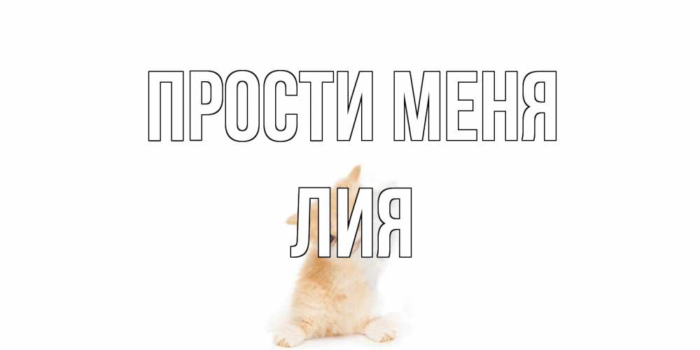 Открытка на каждый день с именем, Лия Прости меня кот Прикольная открытка с пожеланием онлайн скачать бесплатно 