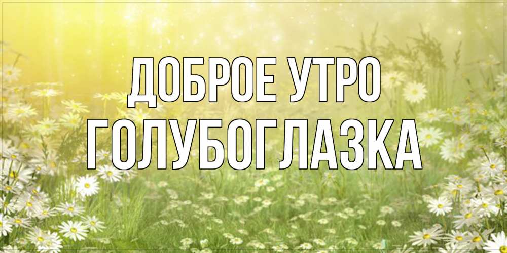 Открытка на каждый день с именем, Голубоглазка Доброе утро доброе утро Прикольная открытка с пожеланием онлайн скачать бесплатно 