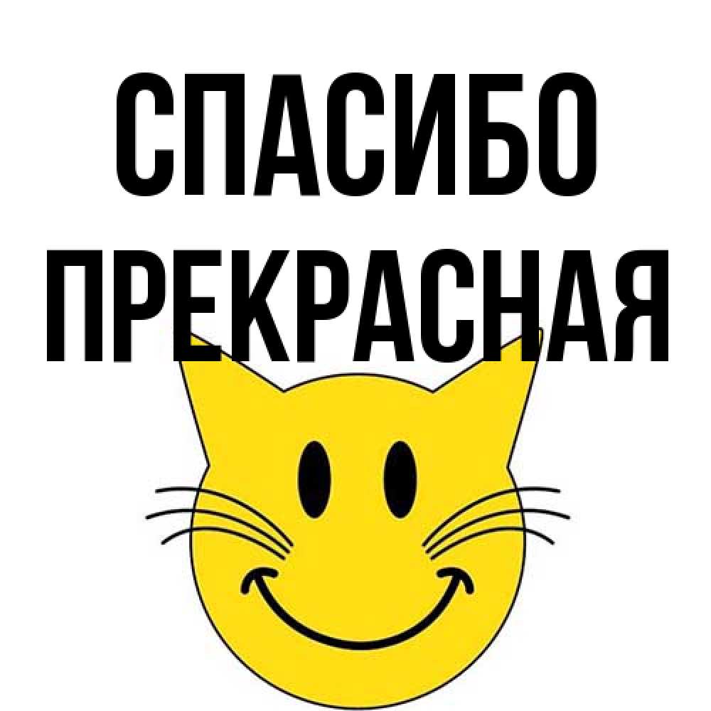 Открытка на каждый день с именем, Прекрасная Спасибо улыбающийся смайл кот Прикольная открытка с пожеланием онлайн скачать бесплатно 