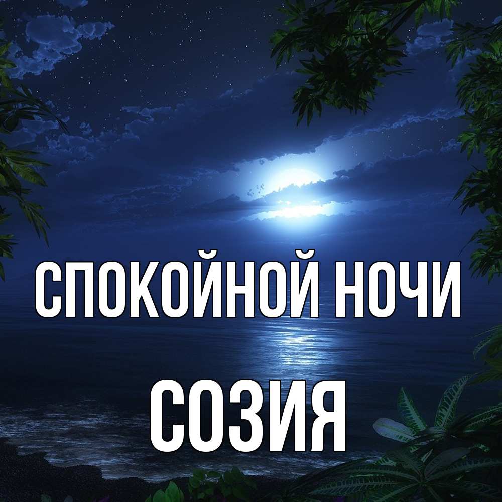 Открытка на каждый день с именем, Созия Спокойной ночи тропический остров Прикольная открытка с пожеланием онлайн скачать бесплатно 