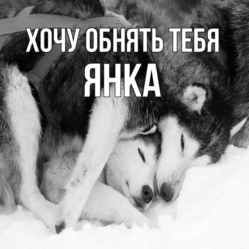 Картинка Хочу обнять тебя, Янка