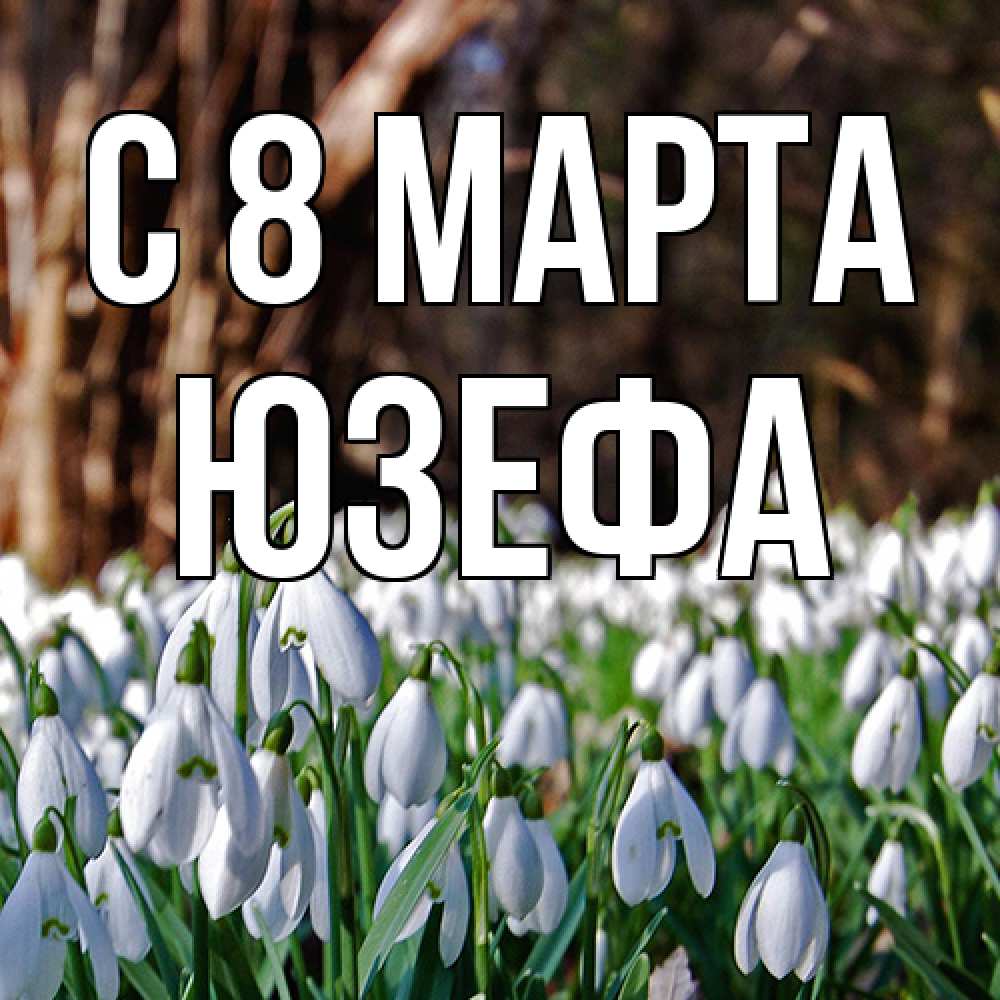 Открытка на каждый день с именем, Юзефа C 8 МАРТА с подснежниками 1 Прикольная открытка с пожеланием онлайн скачать бесплатно 