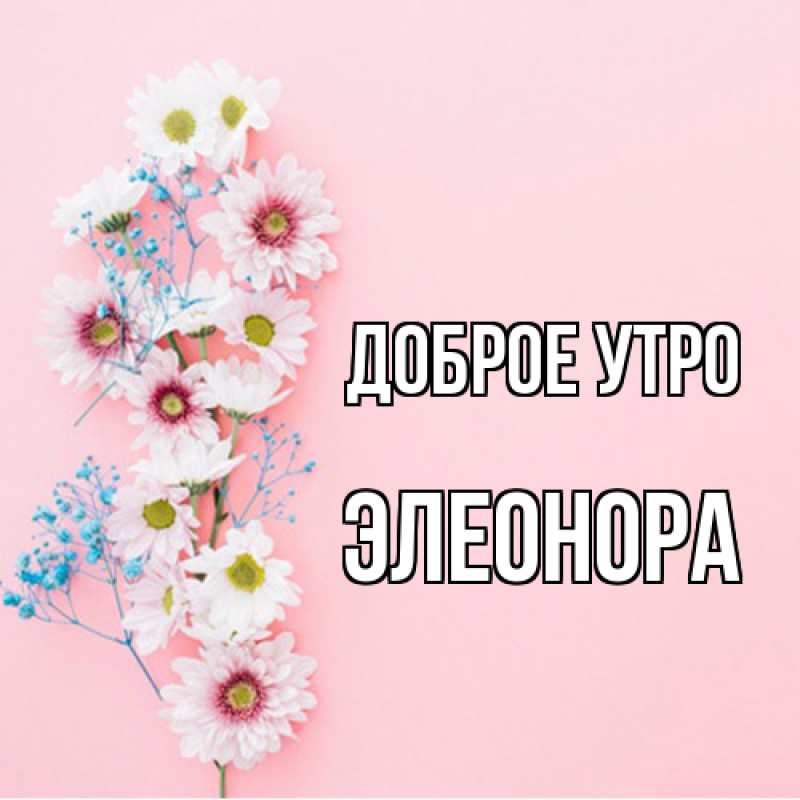 Картинка Доброе утро, Элеонора