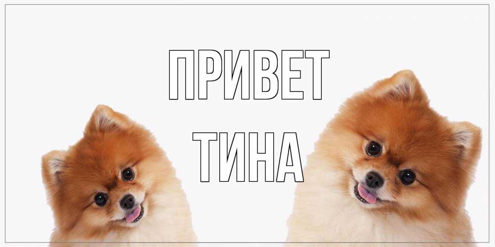 Открытка на каждый день с именем, Тина Привет привет Прикольная открытка с пожеланием онлайн скачать бесплатно 