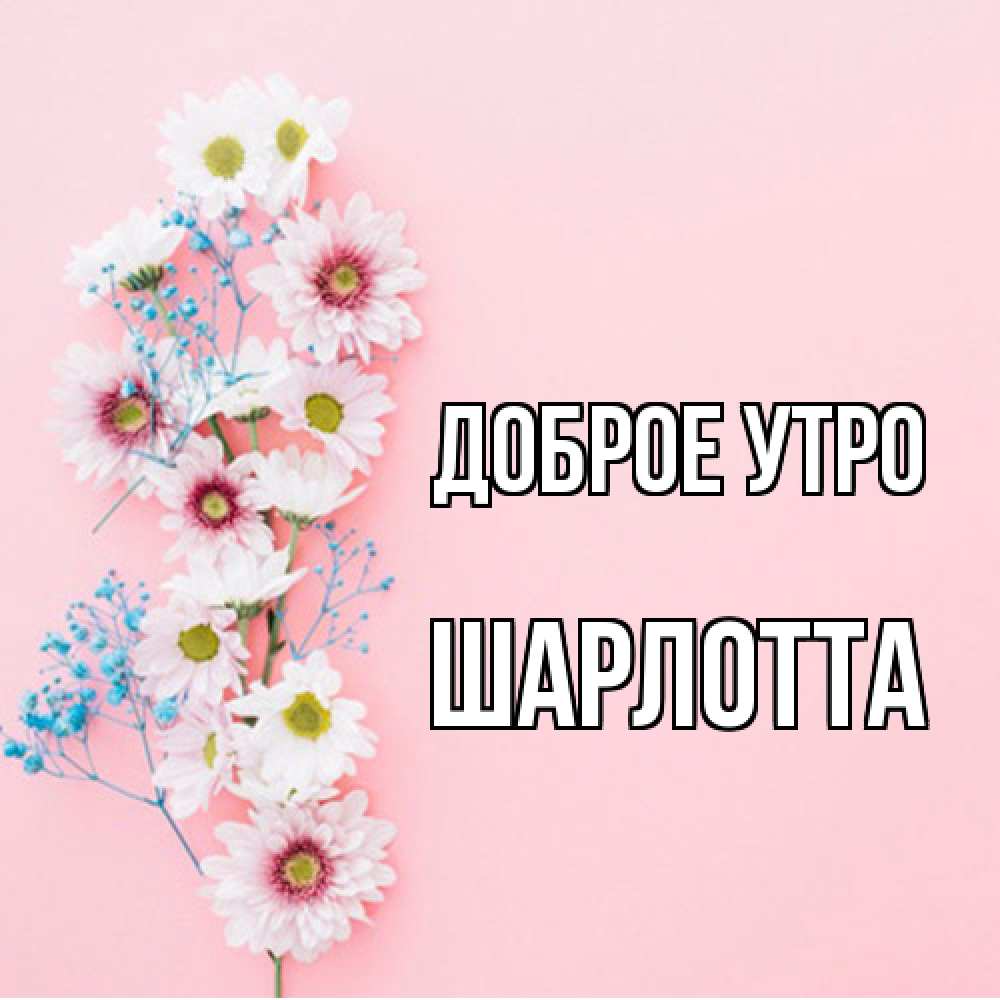 Открытка на каждый день с именем, Шарлотта Доброе утро цветы с подписью Прикольная открытка с пожеланием онлайн скачать бесплатно 