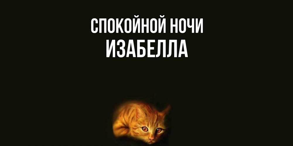 Открытка на каждый день с именем, Изабелла Спокойной ночи кот Прикольная открытка с пожеланием онлайн скачать бесплатно 
