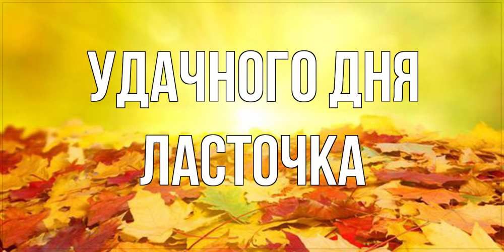 Открытка на каждый день с именем, Ласточка Удачного дня пожелания удачного дня Прикольная открытка с пожеланием онлайн скачать бесплатно 