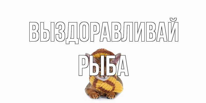 Картинка Выздоравливай, Рыба