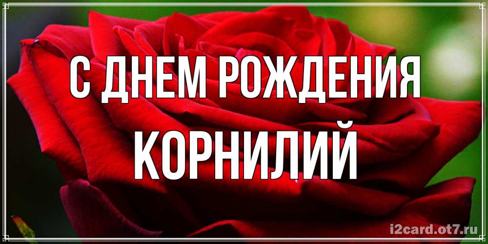 Открытка на каждый день с именем, Корнилий С днем рождения розочка очень красивая Прикольная открытка с пожеланием онлайн скачать бесплатно 