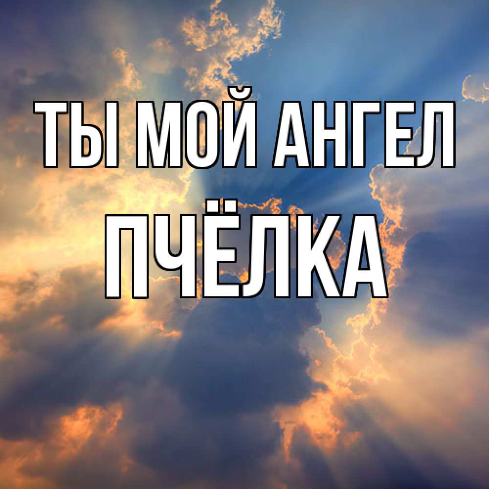 Открытка на каждый день с именем, Пчёлка Ты мой ангел ангельский свет сквозь облака Прикольная открытка с пожеланием онлайн скачать бесплатно 
