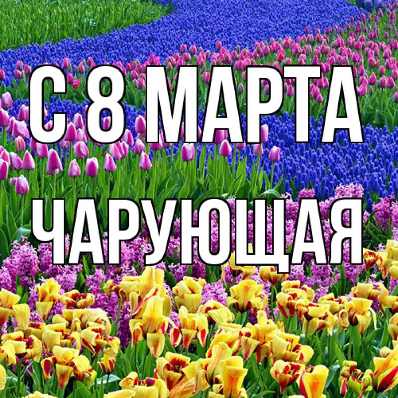 Картинка C 8 МАРТА, Чаpующая