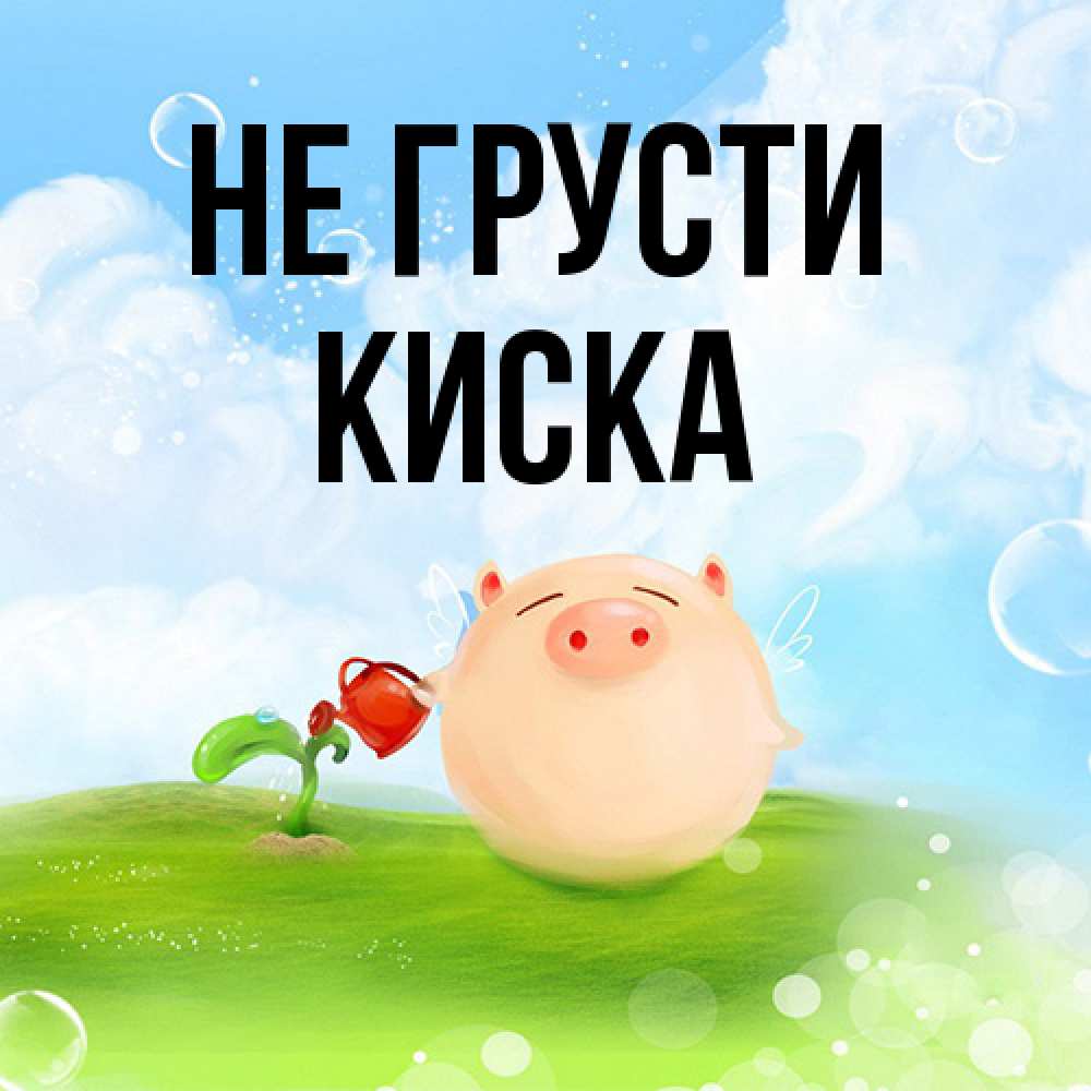 Открытка на каждый день с именем, Киска Не грусти поливает цветок порося Прикольная открытка с пожеланием онлайн скачать бесплатно 