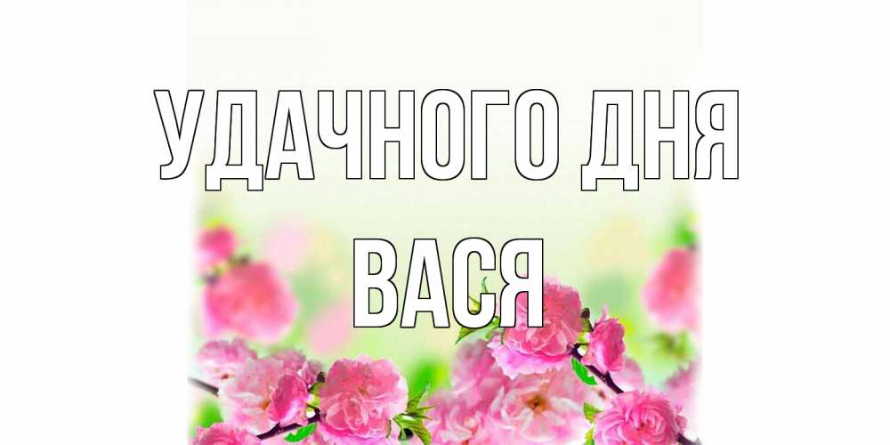 Открытка на каждый день с именем, Вася Удачного дня цветы Прикольная открытка с пожеланием онлайн скачать бесплатно 