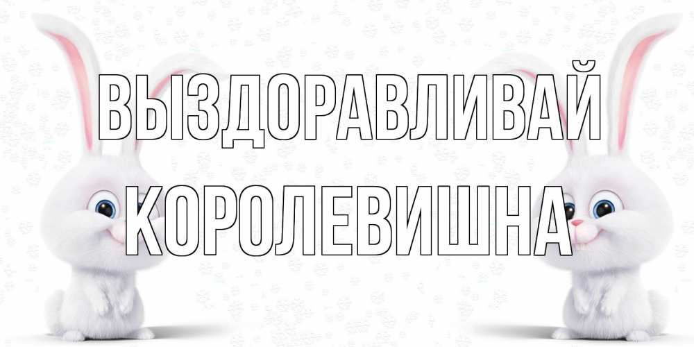 Открытка на каждый день с именем, Королевишна Выздоравливай не болей с зайцем Прикольная открытка с пожеланием онлайн скачать бесплатно 