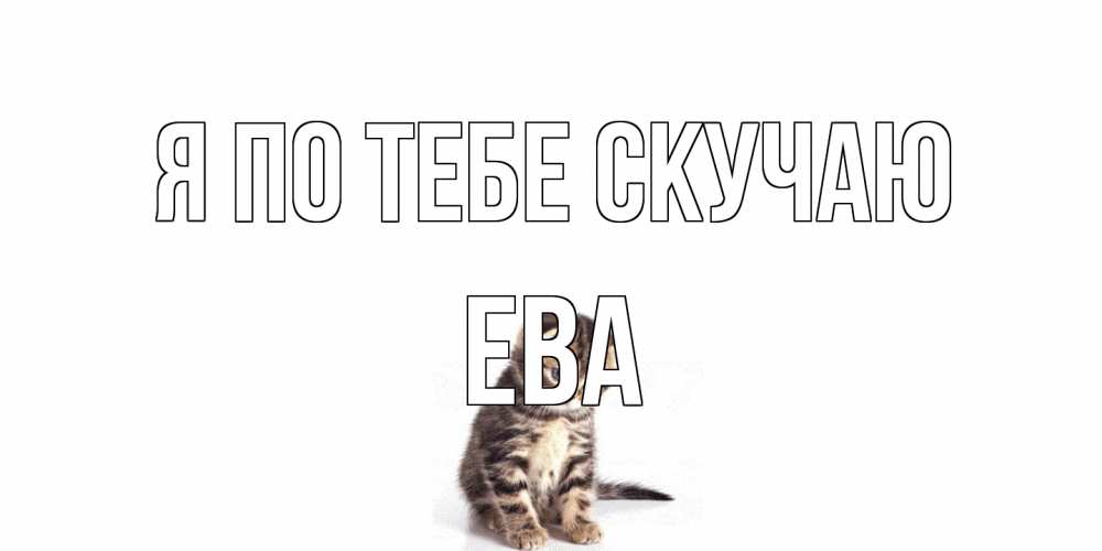 Открытка на каждый день с именем, Ева Я по тебе скучаю кот Прикольная открытка с пожеланием онлайн скачать бесплатно 