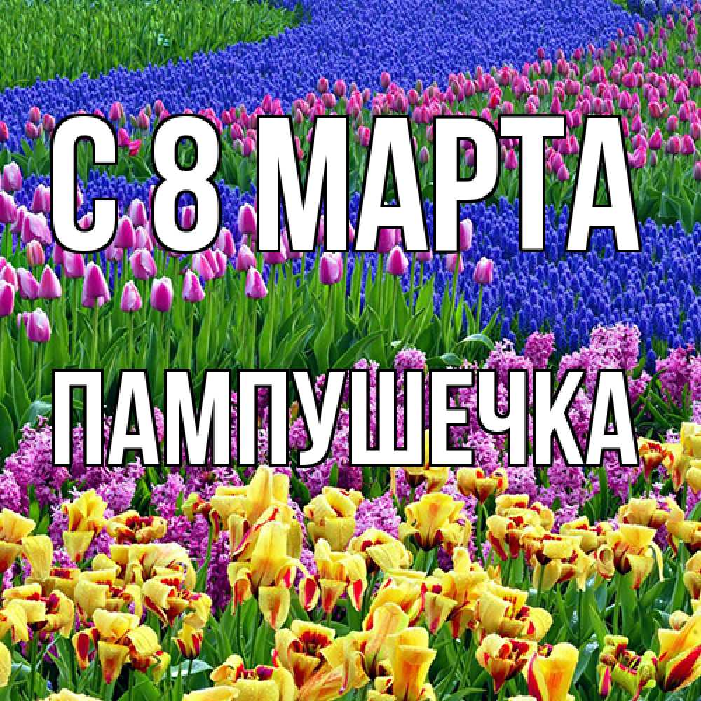 Открытка на каждый день с именем, пампушечка C 8 МАРТА цветы Прикольная открытка с пожеланием онлайн скачать бесплатно 