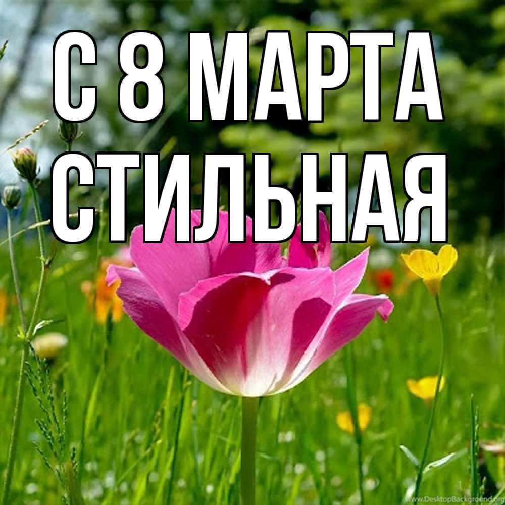 Открытка на каждый день с именем, Стильная C 8 МАРТА полевые цветы Прикольная открытка с пожеланием онлайн скачать бесплатно 