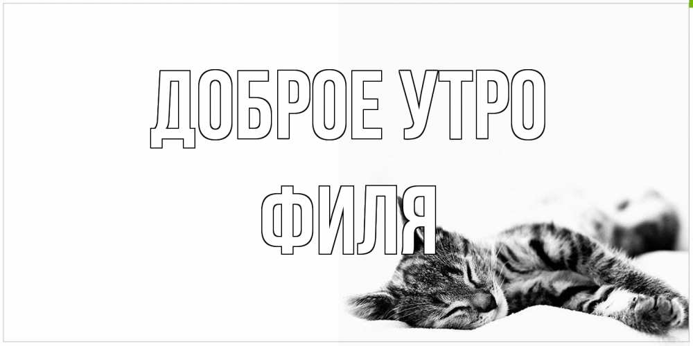 Открытка на каждый день с именем, Филя Доброе утро котуся Прикольная открытка с пожеланием онлайн скачать бесплатно 