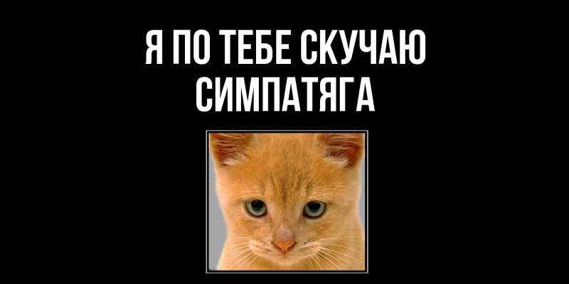 Картинка Я по тебе скучаю, Симпатяга