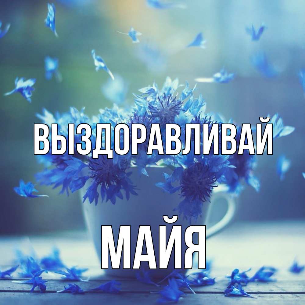 Открытка на каждый день с именем, Майя Выздоравливай кружка с зельем и цветами Прикольная открытка с пожеланием онлайн скачать бесплатно 