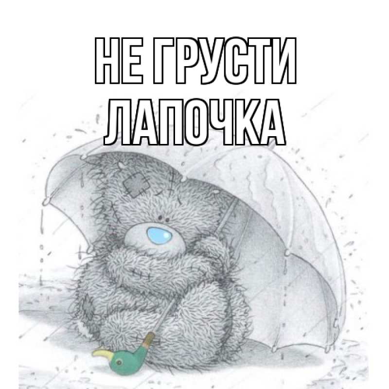 Картинка Не грусти, лапочка