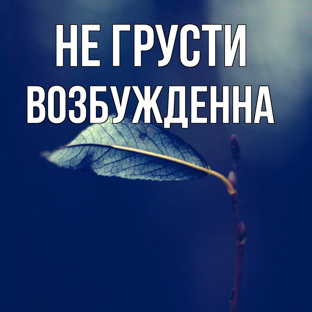 Открытка на каждый день с именем, Возбужденна Не грусти растение Прикольная открытка с пожеланием онлайн скачать бесплатно 