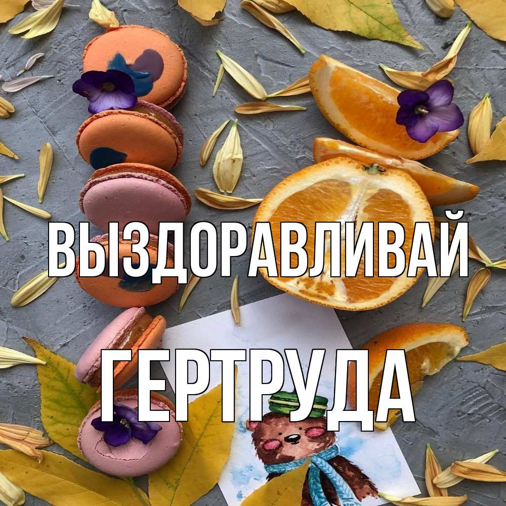 Открытка на каждый день с именем, Гертруда Выздоравливай не болейте Прикольная открытка с пожеланием онлайн скачать бесплатно 