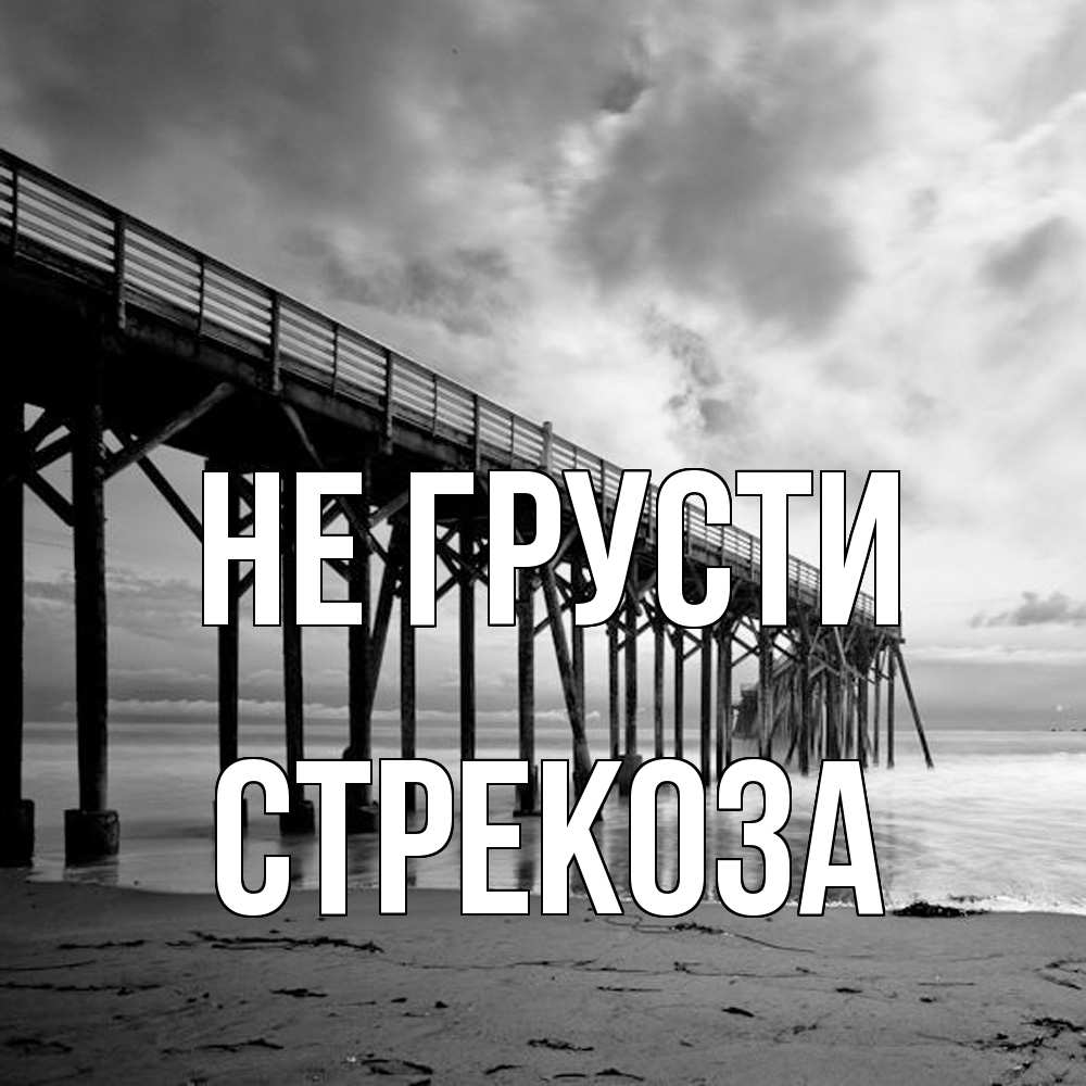 Открытка на каждый день с именем, Стрекоза Не грусти вода и пляж под мостом Прикольная открытка с пожеланием онлайн скачать бесплатно 