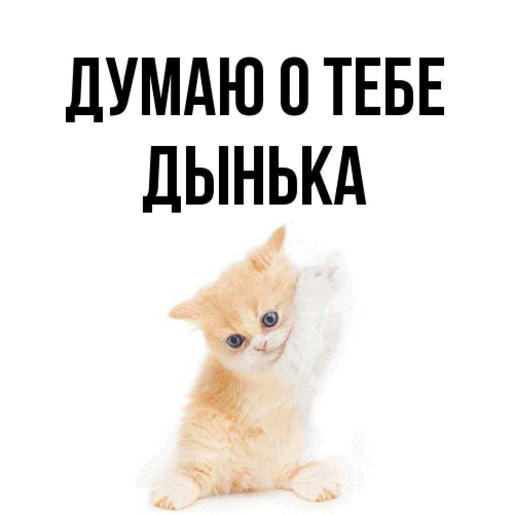 Открытка на каждый день с именем, Дынька Думаю о тебе зверушки и милота Прикольная открытка с пожеланием онлайн скачать бесплатно 
