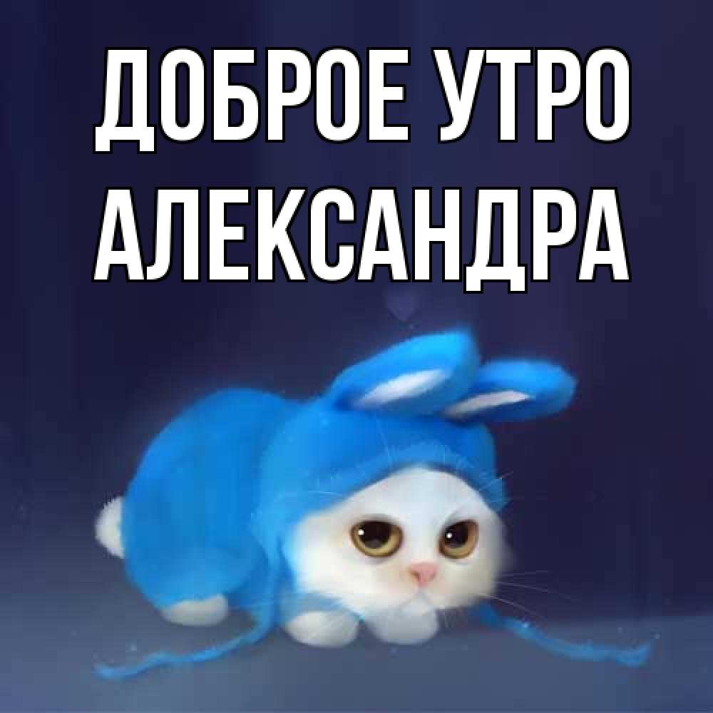 Открытка на каждый день с именем, Александра Доброе утро открытки красивые скачать бесплатно Прикольная открытка с пожеланием онлайн скачать бесплатно 