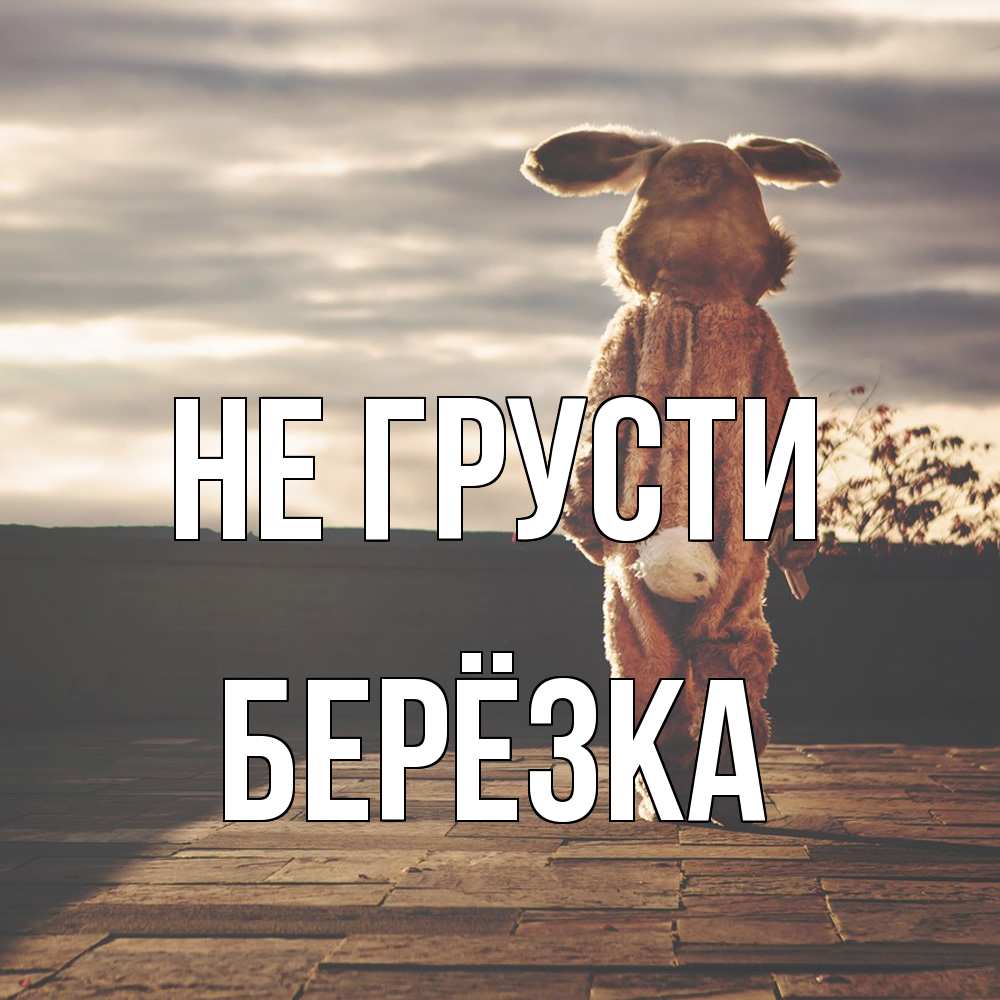 Открытка на каждый день с именем, Берёзка Не грусти со спины Прикольная открытка с пожеланием онлайн скачать бесплатно 