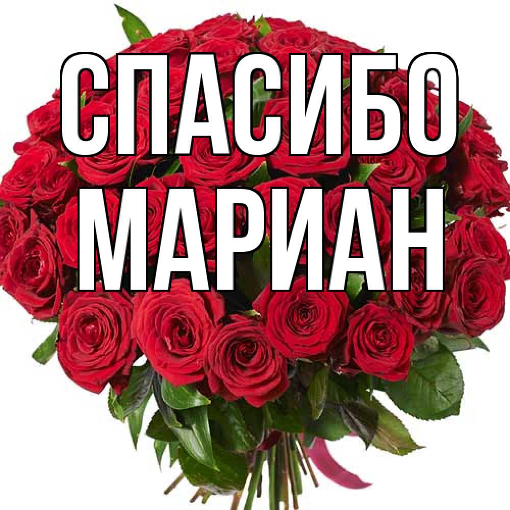 Открытка на каждый день с именем, Мариан Спасибо букет красных роз Прикольная открытка с пожеланием онлайн скачать бесплатно 
