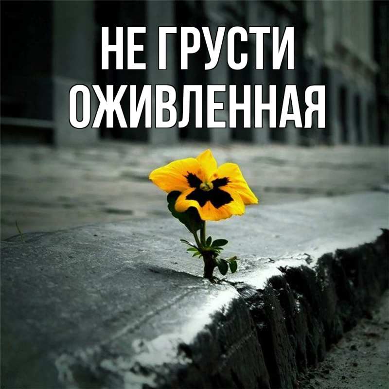 Картинка Не грусти, Оживленная