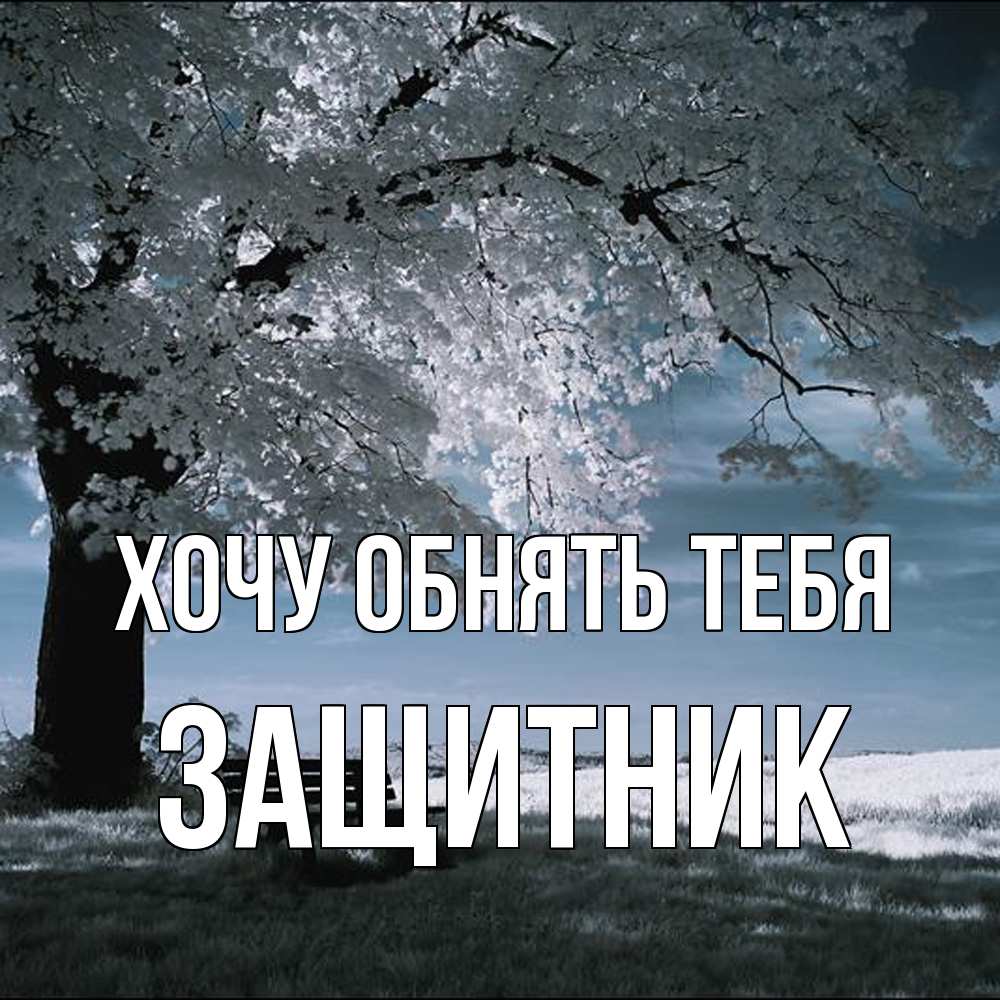 Открытка на каждый день с именем, Защитник Хочу обнять тебя дерево Прикольная открытка с пожеланием онлайн скачать бесплатно 