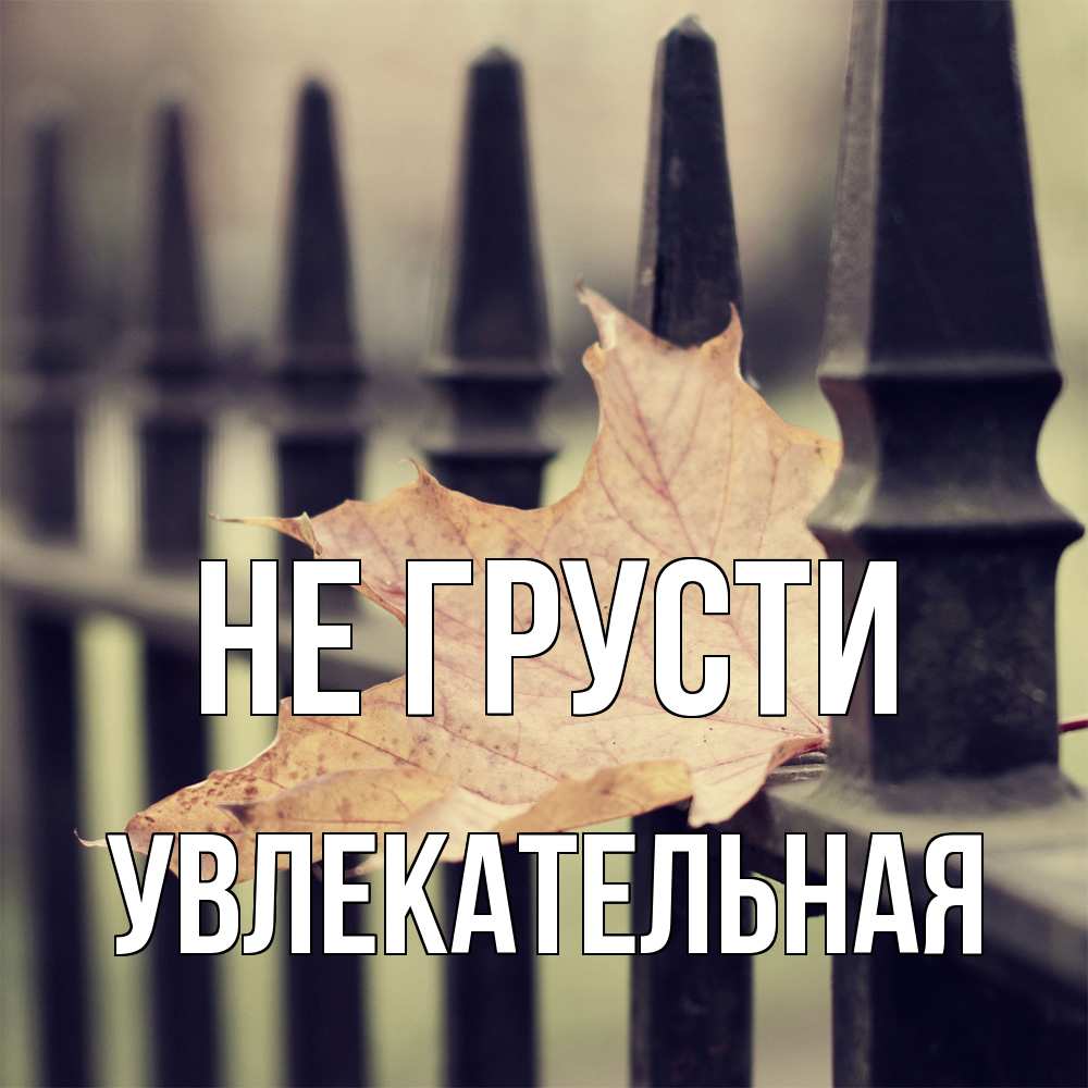 Открытка на каждый день с именем, Увлекательная Не грусти лист клена Прикольная открытка с пожеланием онлайн скачать бесплатно 