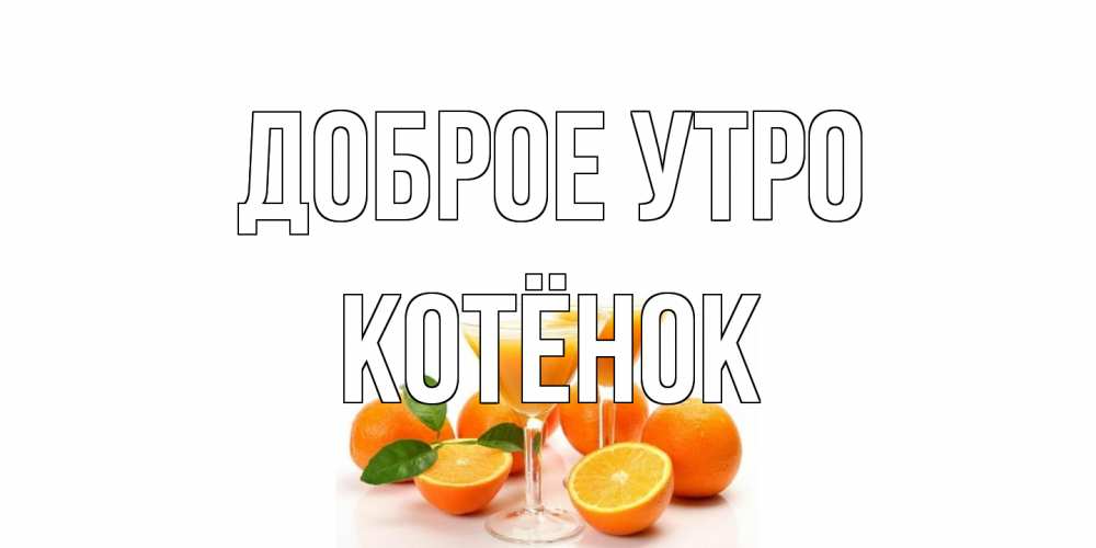Открытка на каждый день с именем, Котёнок Доброе утро апельсин Прикольная открытка с пожеланием онлайн скачать бесплатно 