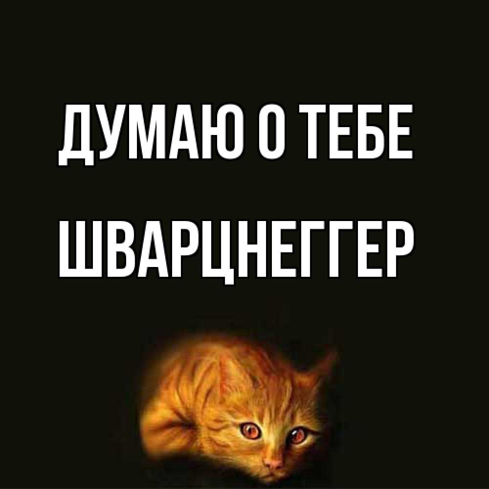 Открытка на каждый день с именем, Шварцнеггер Думаю о тебе рыжий Прикольная открытка с пожеланием онлайн скачать бесплатно 