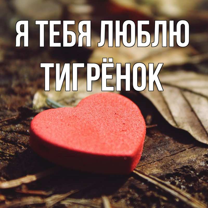 Картинка Я тебя люблю, Тигрёнок