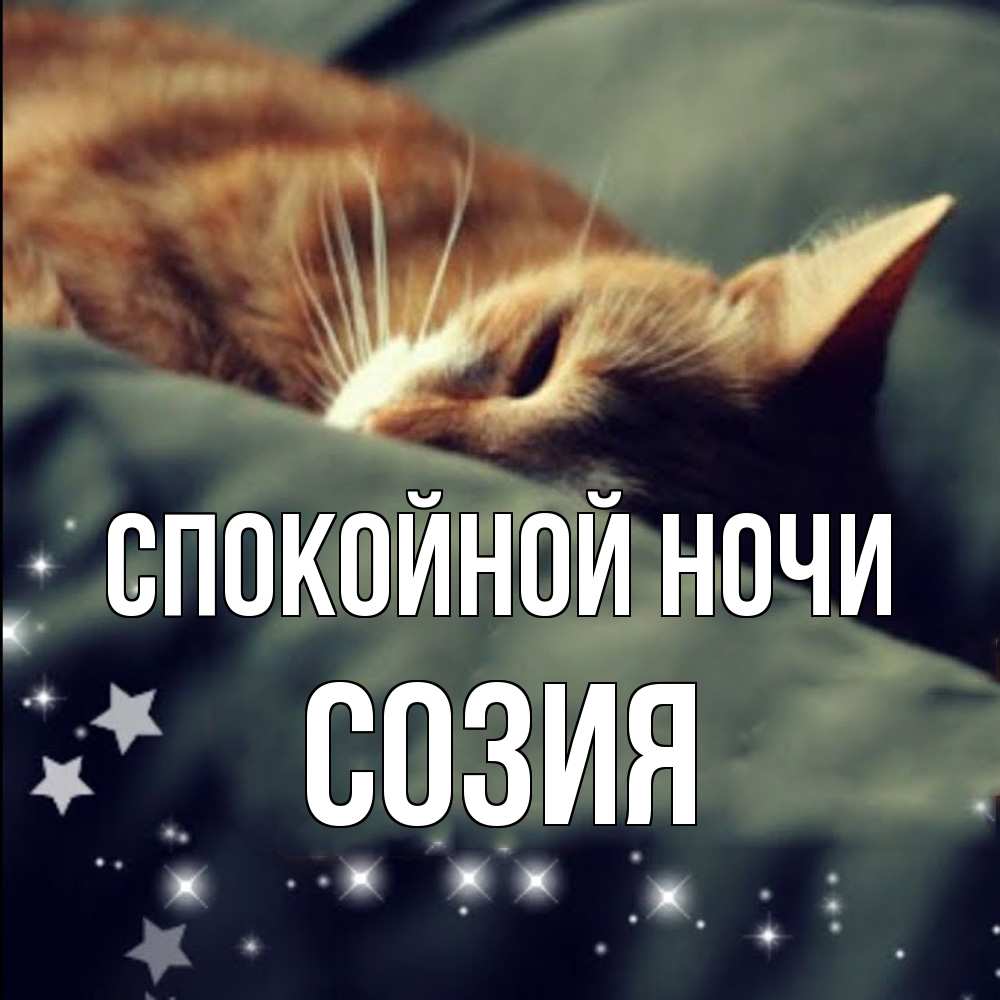 Открытка на каждый день с именем, Созия Спокойной ночи кроватка Прикольная открытка с пожеланием онлайн скачать бесплатно 