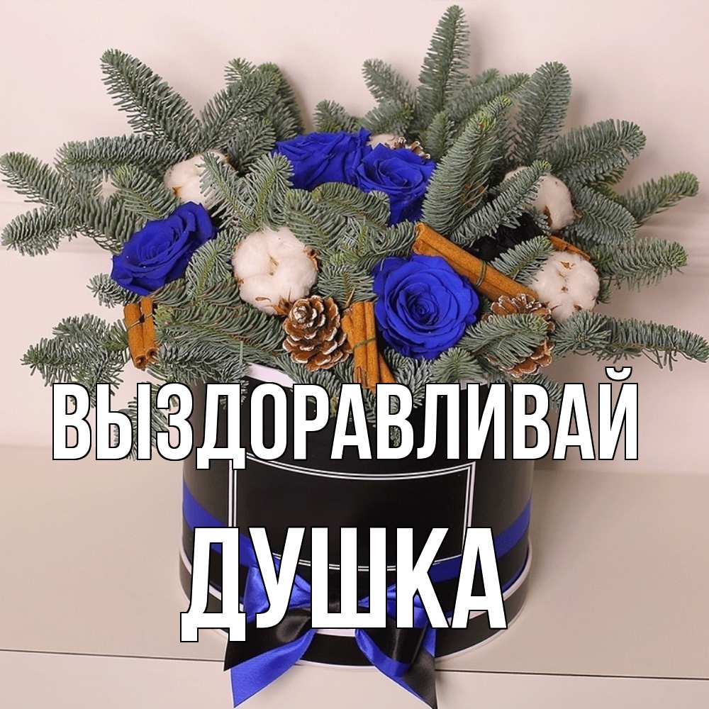 Открытка на каждый день с именем, Душка Выздоравливай короче кто то загрузил эти шишки Прикольная открытка с пожеланием онлайн скачать бесплатно 