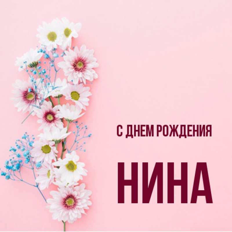 Картинка С днем рождения, Нина