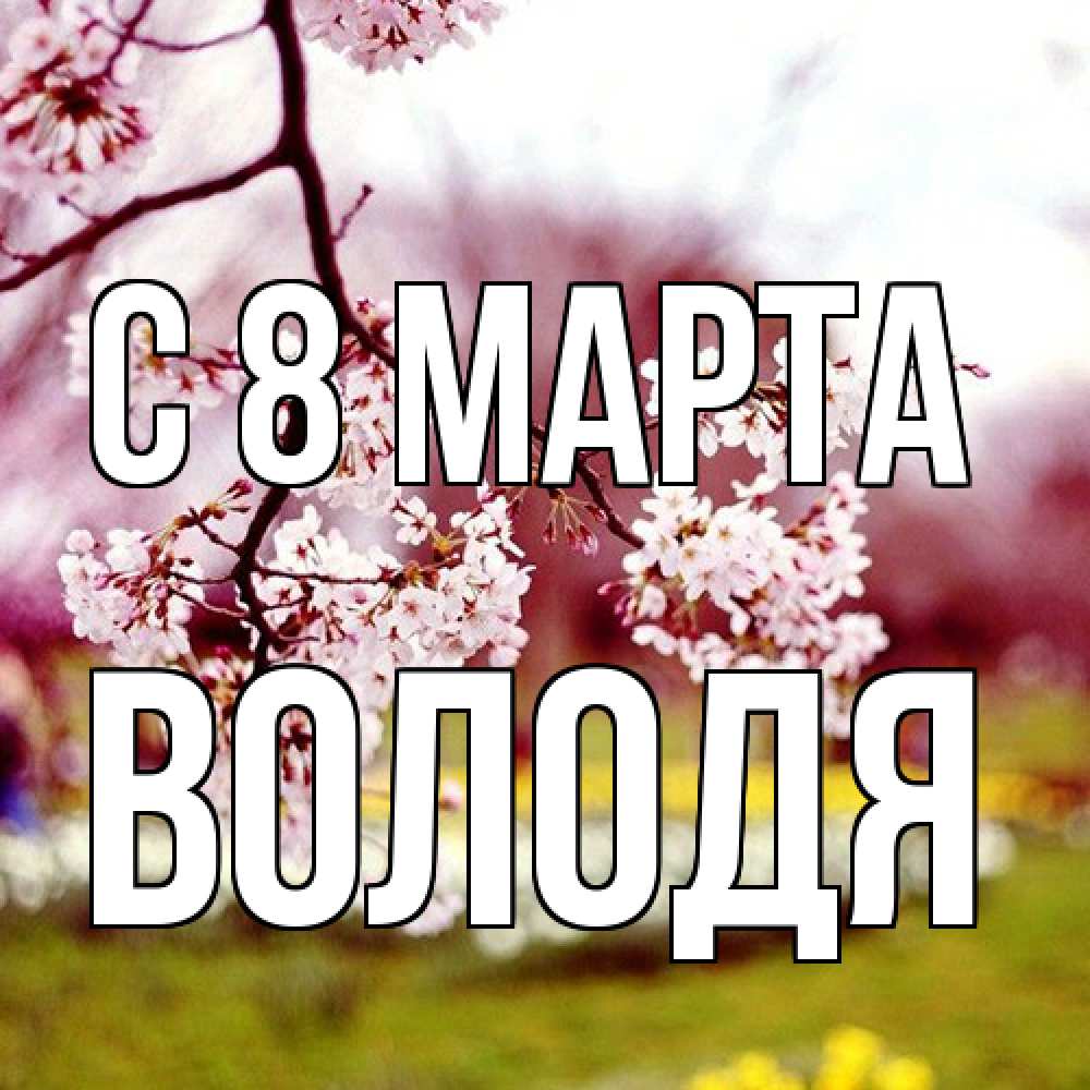 Открытка на каждый день с именем, Володя C 8 МАРТА яблоня Прикольная открытка с пожеланием онлайн скачать бесплатно 