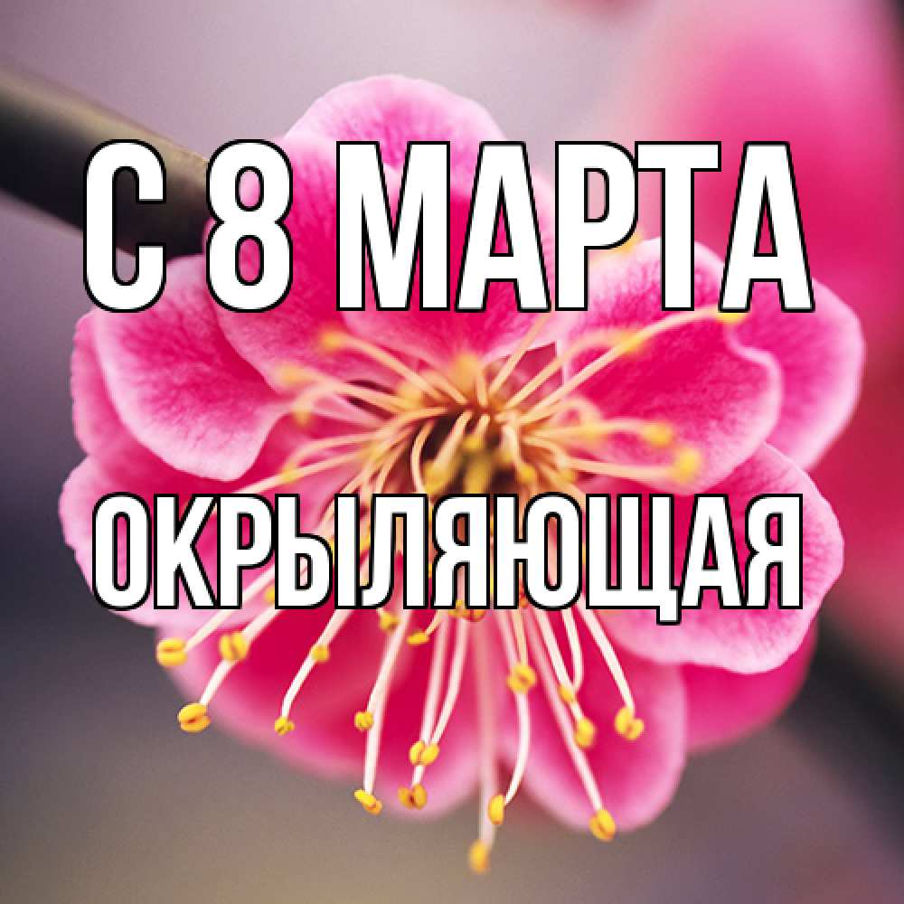 Открытка на каждый день с именем, окрыляющая C 8 МАРТА цветы Прикольная открытка с пожеланием онлайн скачать бесплатно 