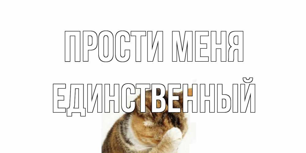 Открытка на каждый день с именем, Единственный Прости меня кот Прикольная открытка с пожеланием онлайн скачать бесплатно 