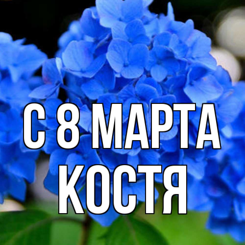 Открытка на каждый день с именем, Костя C 8 МАРТА синие цветы Прикольная открытка с пожеланием онлайн скачать бесплатно 